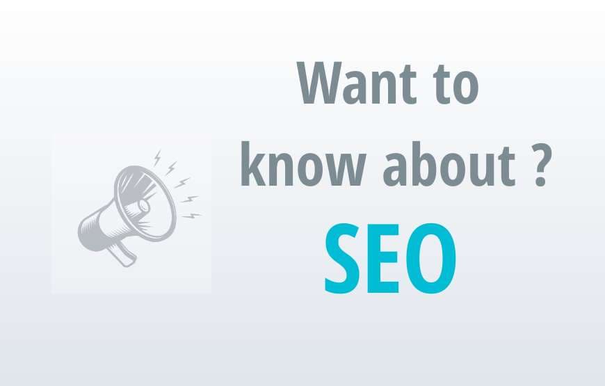 Want to know about SEO ?